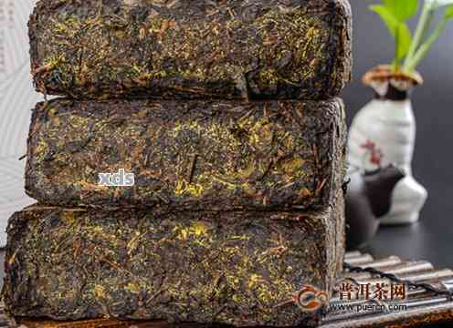 金茯砖茶属于普洱茶类吗？为什么？