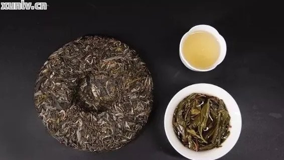 普洱茶饼与白茶饼之间的区别与比较：哪种茶叶更适合您？