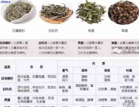 同价位下白茶与普洱茶的区别：选购指南与比较分析