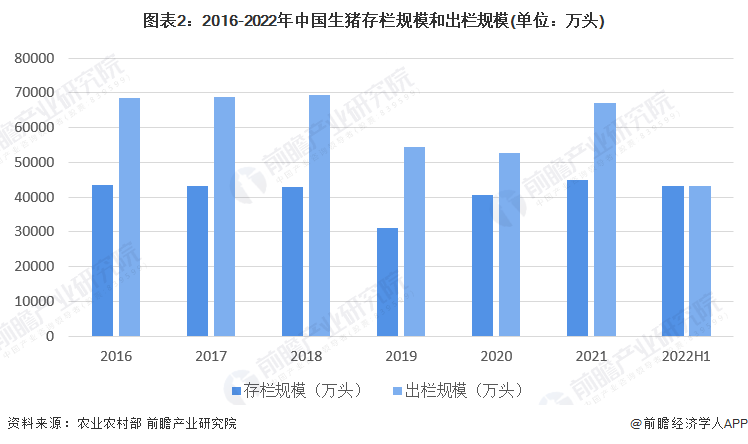 2020年八八青饼市场价格分析：口感、原料与销售策略探讨