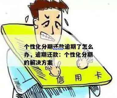 信用卡个性化分期还款：全面解析与操作指南