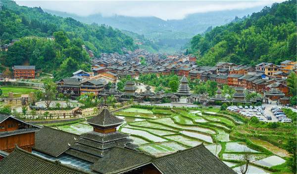 老龙寨普洱茶产地最新信息大揭秘