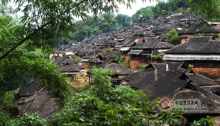 老龙寨普洱茶产地在哪里