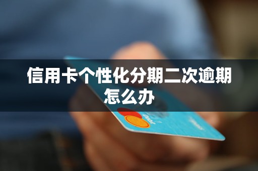 个性化分期对信用卡使用的影响及其相关问题探讨