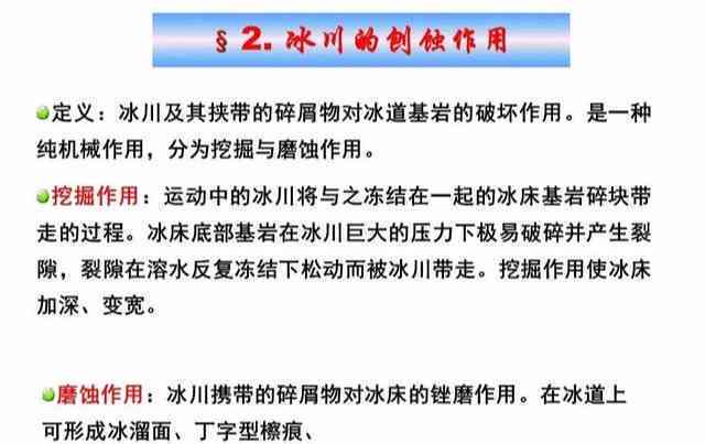 生命之叶：全面解构、功效、用途与安全性分析