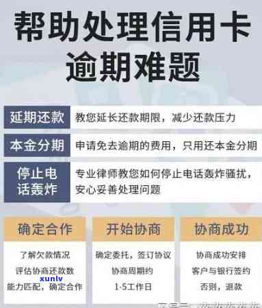 逾期友好物：真实案例揭示的风险与解决策略