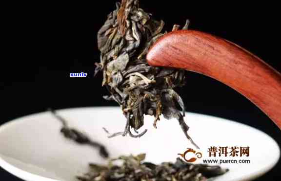 云南普洱七子饼茶怎么喝：冲泡方法与价钱区间解析