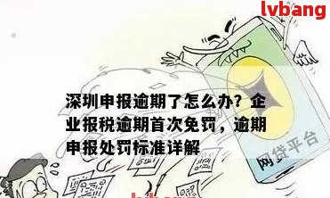 深圳个体户纳税申报逾期解决方案：如何应对、处理步骤及注意事项