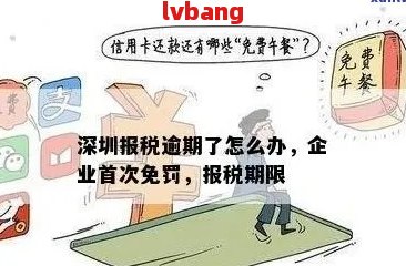 深圳个体户纳税申报逾期解决方案：如何应对、处理步骤及注意事项