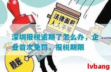 深圳个体户纳税申报逾期后果及处理方法