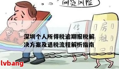 深圳个体户纳税申报逾期