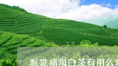 白茶缓解喉咙痛：科学研究与实际效果分析