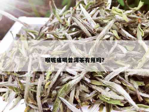 喉咙痛喝白茶普洱茶好吗