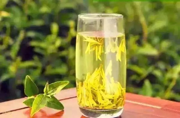 黄芽茶是什么茶：黄芽茶的功效、种类与制作方法，了解这一茶的全貌。