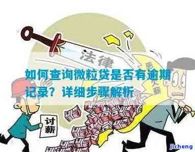 微粒贷逾期记录明细查询指南： 步骤、平台与逾期影响解析