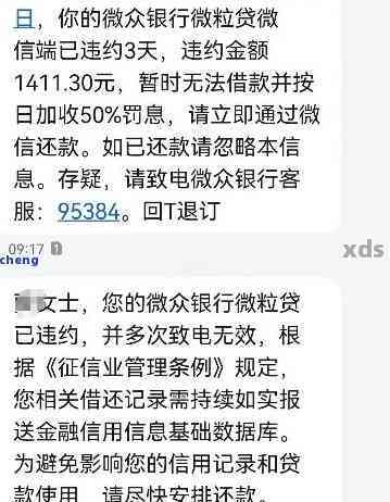 微粒贷逾期记录明细查询指南： 步骤、平台与逾期影响解析