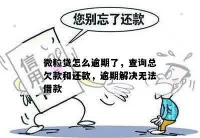 微粒贷逾期总欠款查询：如何确定你还有多少钱未还？