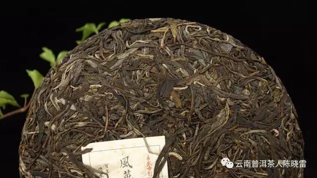 探究凤舞普洱茶的选料之谜：独特原料与精工艺的完美结合