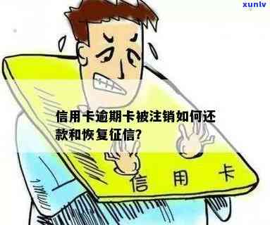 信用卡逾期被注销怎么查欠款余额明细，如何恢复？