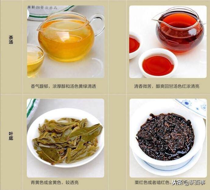 普洱茶：黑茶的代表品种还是其他类型的茶叶？探讨普洱茶的分类和特点