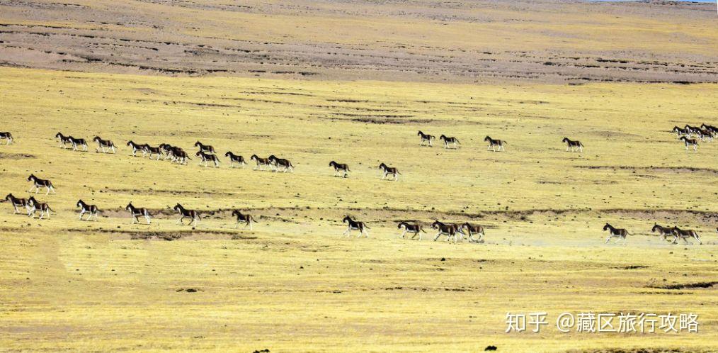 北方地区什么季节-北方地区什么季节旱情最严重