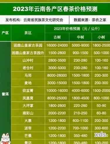 云浮手工普洱茶价格全方位查询，了解市场行情及品质好坏