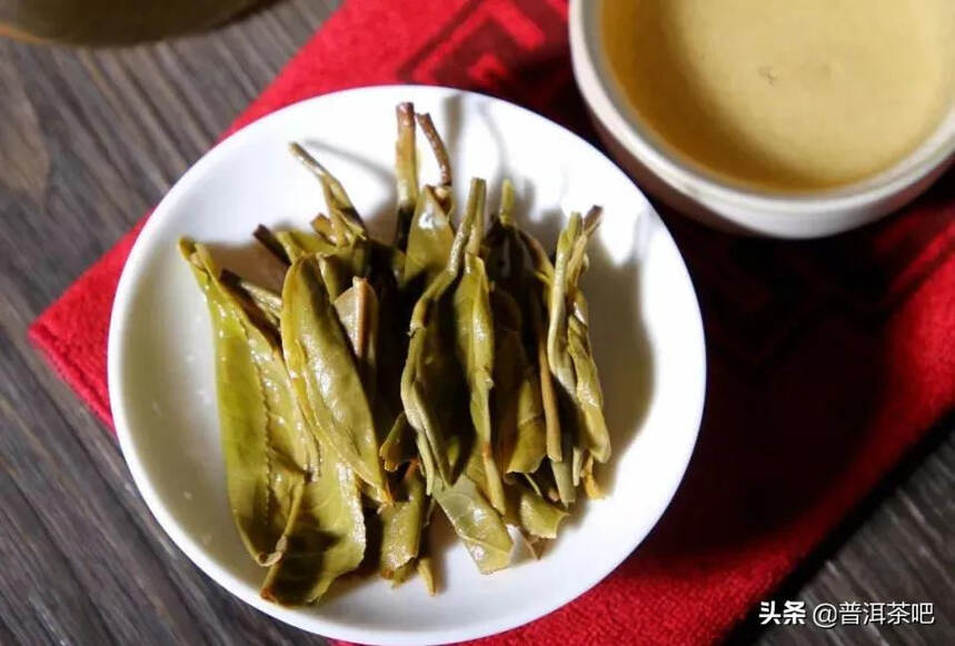 普洱茶单株与纯料茶叶品种之间的差异解析：了解它们的独特魅力和品饮体验