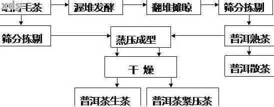 '探究普洱茶制作工艺：从原料选择到独特发酵过程的科学解析'