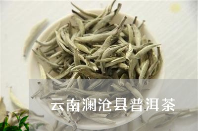 沧源普洱茶属于什么茶种