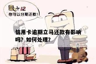 刷爆信用卡马上还款有影响吗？怎么办？