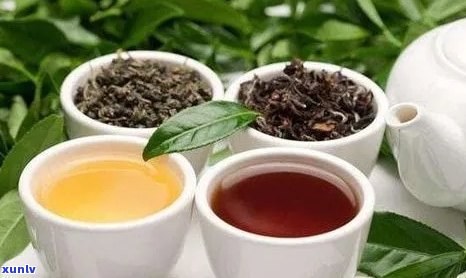 中国十大顶级普洱茶种类盘点：玉露茶品系列排名与特点详解