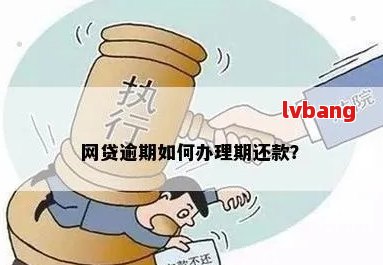 网贷逾期最多还几倍的钱？逾期处理方法和时间解析