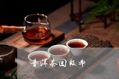 普洱茶回购率计算方法，如何计算呢？