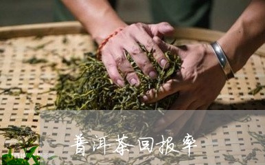 普洱茶回购率怎么算的呢