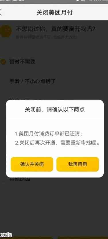 美团还款十点后无法进入，原因何在？