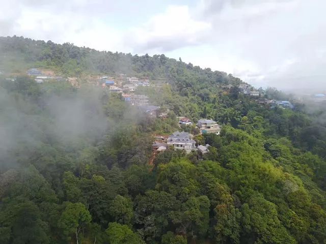 普洱茶区三大茶山是什么