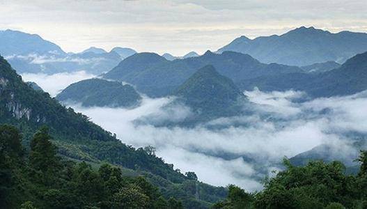 普洱茶区三大茶山是什么