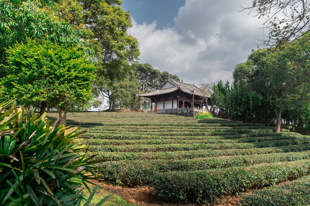 普洱茶文化博览园C区地址及简介