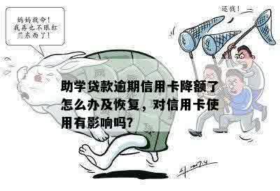 逾期助学贷款的处理策略与成功案例：如何避免影响信用记录并解决问题？