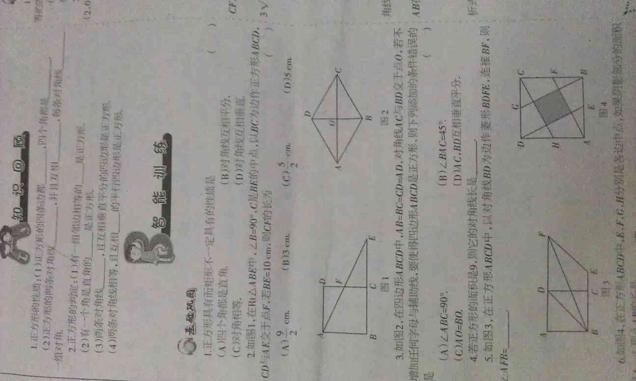 53贵妃与圆条之间的数学关系：求解贵妃相当于多少个圆条