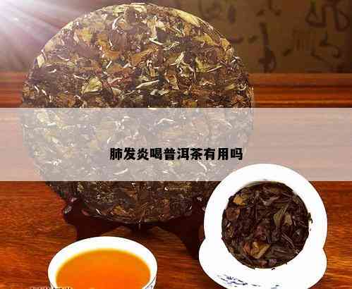 新 '普洱茶在复过程中的作用及小孩饮用的适宜性'