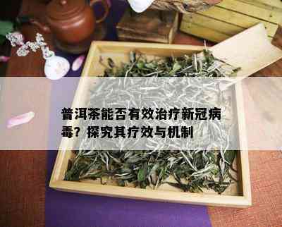 新 '普洱茶在复过程中的作用及小孩饮用的适宜性'