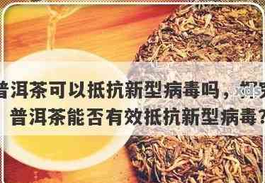 新 '普洱茶在复过程中的作用及小孩饮用的适宜性'