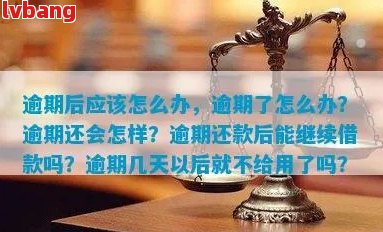 贷款已逾期能否借新还旧：逾期后再次贷款还款策略