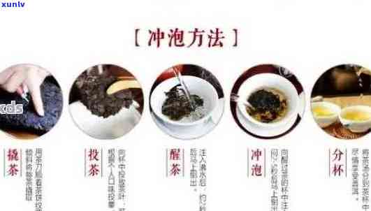 普洱茶泡法：水与泡茶步骤