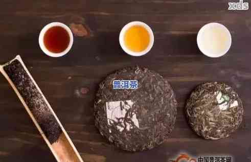 如何正确打开并品尝普洱月饼茶？——一份全面指南