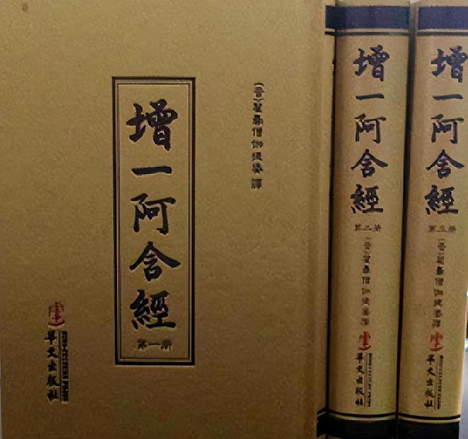 佘太翠：左手还是右手？揭示其背后的文化含义与象征意义