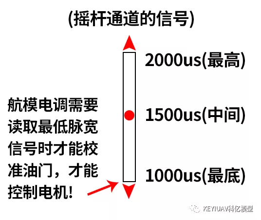 佘太翠：左手还是右手？揭示其背后的文化含义与象征意义