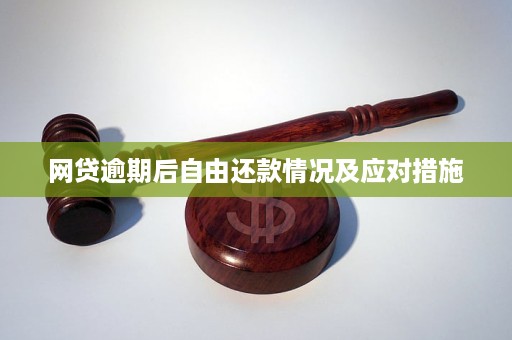 网贷逾期：原因、影响与应对策略分析