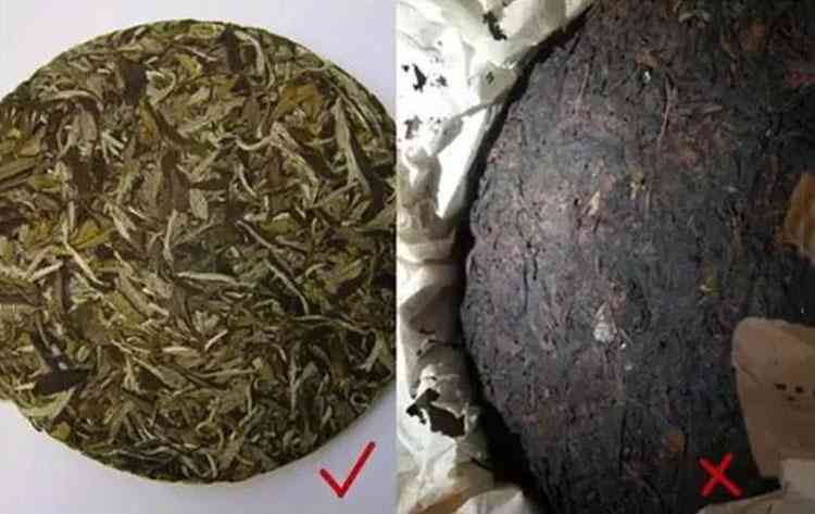 探究熟普洱茶颜色发黑的原因与品质关系